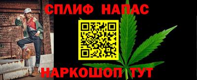 стаф Будённовск