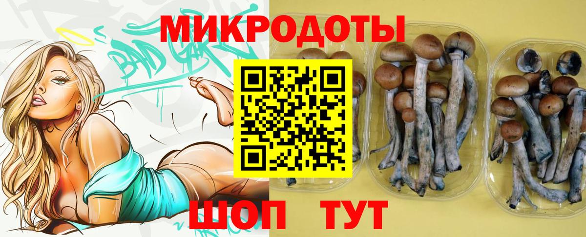Галлюциногенные грибы Magic Shrooms Слободской